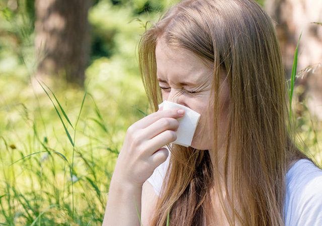 Rhinite Allergique : Symptômes, Causes et Traitements