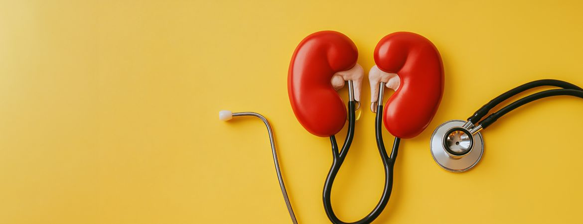 Découvrez le Meilleur Examen pour Évaluer la Santé de Vos Reins : Guide Complet et Astuces