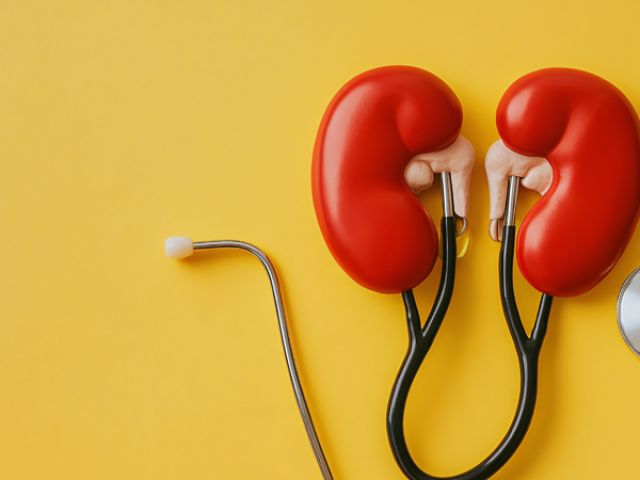 Découvrez le Meilleur Examen pour Évaluer la Santé de Vos Reins : Guide Complet et Astuces