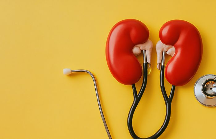 Découvrez le Meilleur Examen pour Évaluer la Santé de Vos Reins : Guide Complet et Astuces