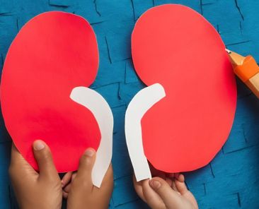 La Chirurgie Rénale chez l'Enfant : Tout ce que les Parents Doivent Savoir pour Assurer une Récupération Optimale