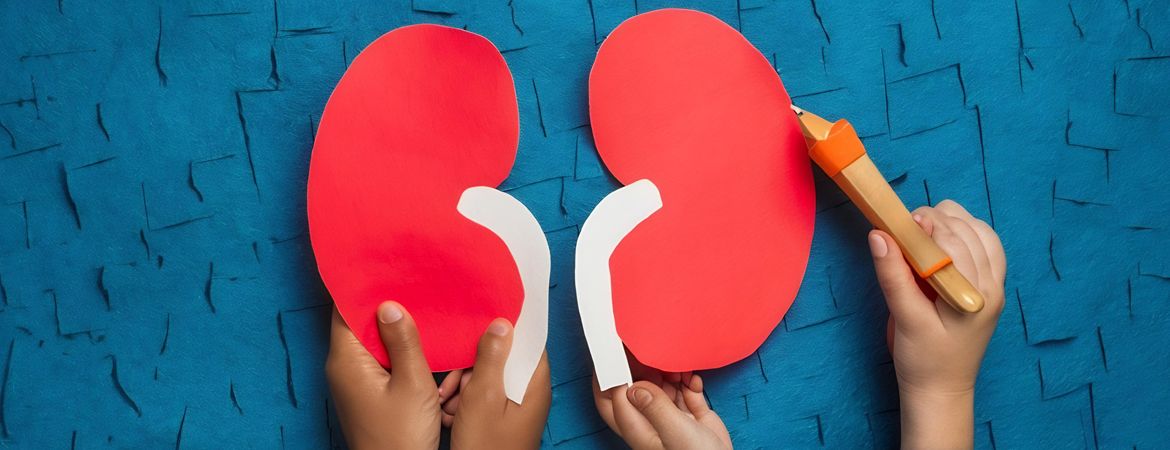 La Chirurgie Rénale chez l'Enfant : Tout ce que les Parents Doivent Savoir pour Assurer une Récupération Optimale