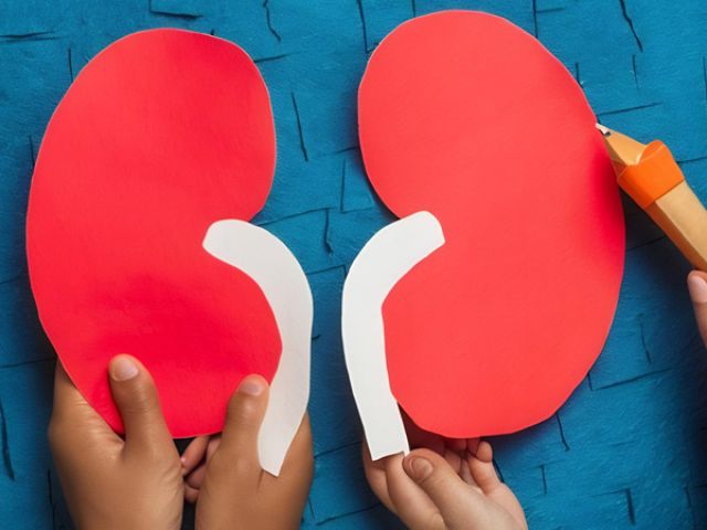 La Chirurgie Rénale chez l'Enfant : Tout ce que les Parents Doivent Savoir pour Assurer une Récupération Optimale