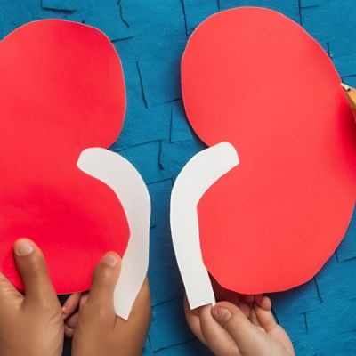 La Chirurgie Rénale chez l'Enfant : Tout ce que les Parents Doivent Savoir pour Assurer une Récupération Optimale
